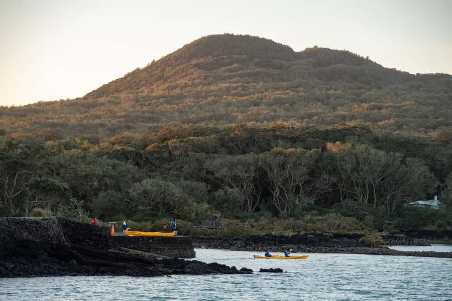 Auckland: Sunset & Night Sea Kayak Tour to Rangitoto Island - Paddling across the Hauraki Gulf
