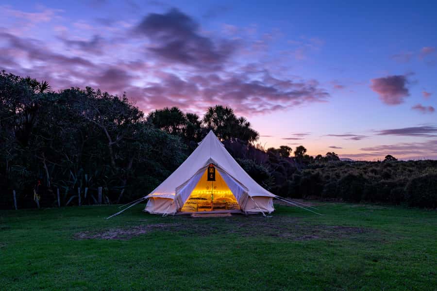 Auckland (Tawharanui): Wild Kiwi Bird Spotting Encounter - Who should book this experience