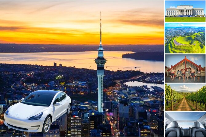 Auckland: Tikapa Moana Dolphin, Whale and Island Cruise - Departure times and the length of the day