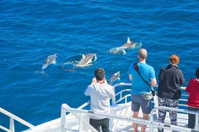 Auckland: Tikapa Moana Dolphin, Whale and Island Cruise - Who will enjoy this cruise most
