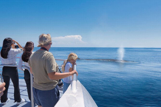 Auckland: Tikapa Moana Dolphin, Whale and Island Cruise - Rotoroa Island: walks, beaches, and conservation