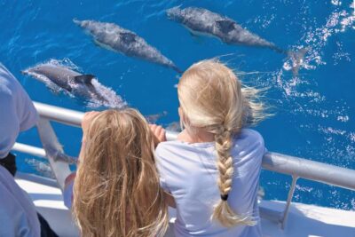 Tikapa Moana Whales, Dolphins and Islands Cruise