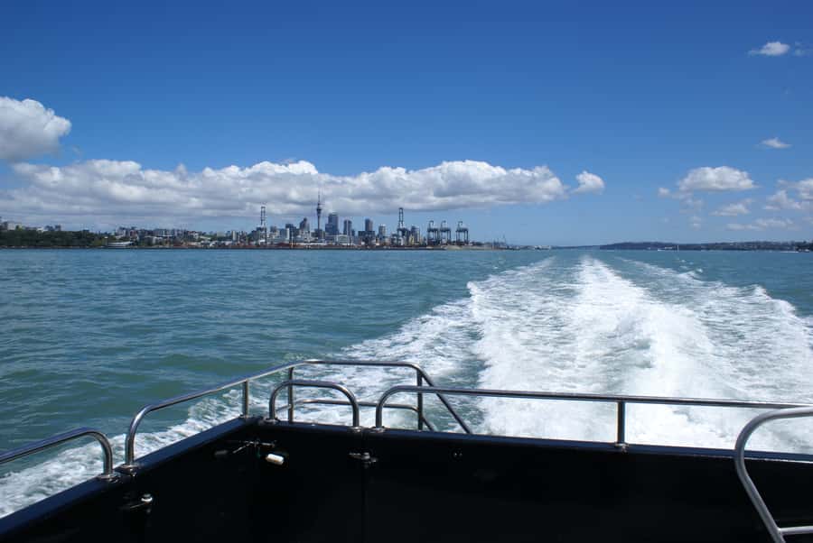 Auckland: Tikapa Moana Whales, Dolphins and Islands Cruise - Should you book the Tikapa Moana cruise?