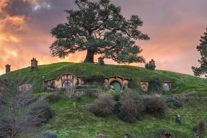Auckland to Hobbiton Movie Set and Rotorua's Geothermal Valley - Should you book the Hobbiton and Te Puia day trip?