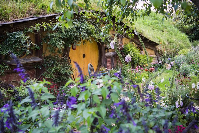 Auckland to Rotorua via Hobbiton Small Group Tour (One Way) - Entering Hobbiton through the green buses