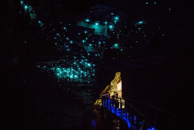 Auckland to Rotorua via Waitomo Caves Small Group Tour (One Way) - Luggage, food, and comfort
