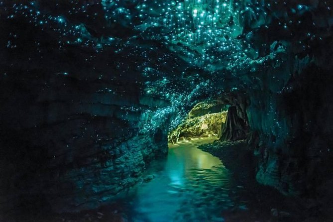 Auckland to Rotorua via Waitomo Caves Small Group Tour (One Way) - A short break in Pirongia