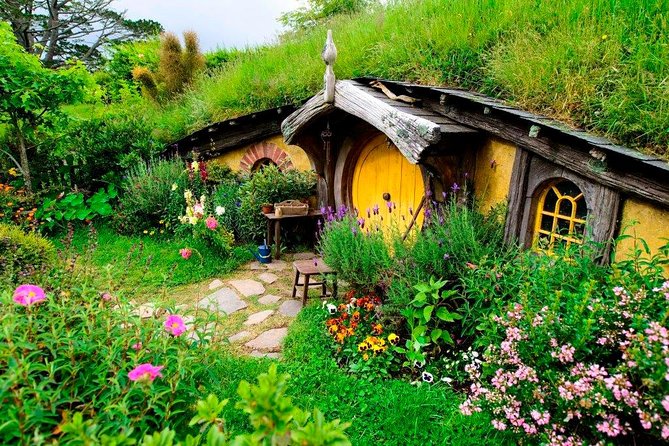 Auckland to Waitomo Caves and Hobbiton Movie Set Private Tour - Practical details that affect your decision