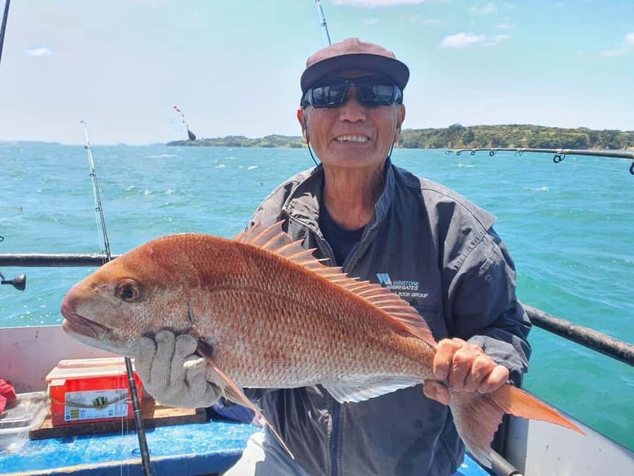 Auckland: Twilight Fishing Charter 5pm - 9:30pm - Is this suitable for first-timers and families?