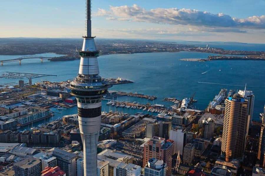 Auckland: Waiheke Island Wine and Food Tasting with Flights - What you see from the 45-minute flight