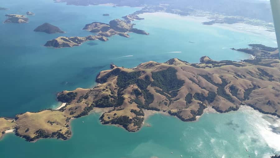 Auckland: Waiheke Island Wine and Food Tasting with Flights - Seeing Waiheke from the road