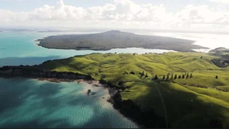 Auckland: Waiheke Island Wine and Food Tasting with Flights - Is $388 a fair price?