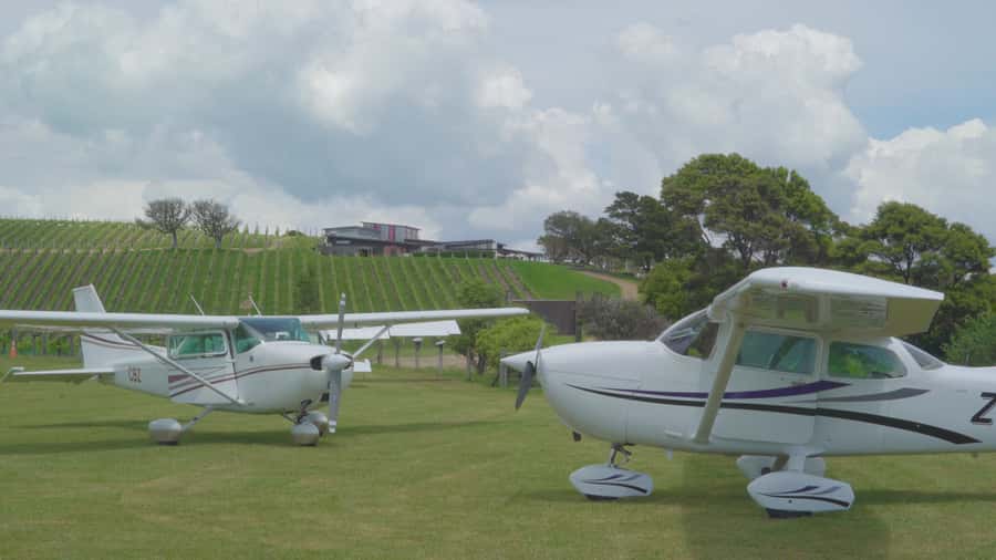 Auckland: Waiheke Island Wine and Food Tasting with Flights - Practical booking advice for a smoother day