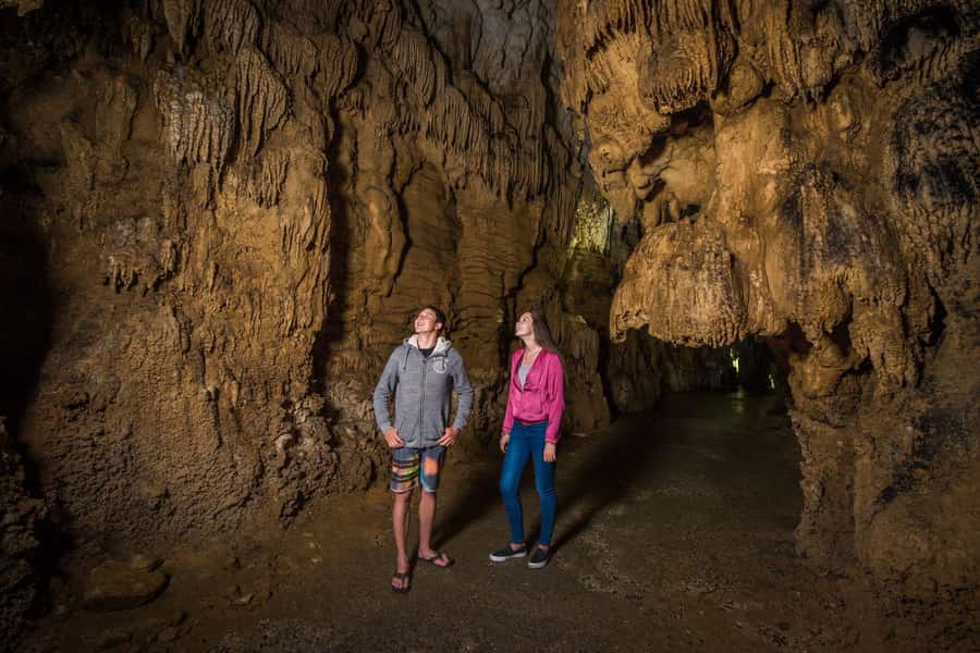 Auckland: Waitomo Caves & Rotorua - Te Puia Small-Group Tour - The lunch issue deserves attention