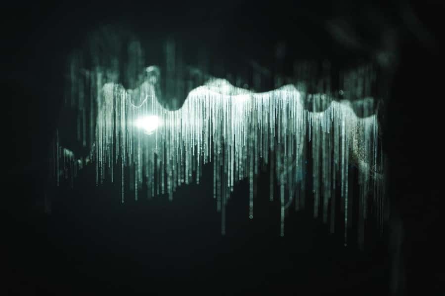 Auckland: Waitomo Caves & Rotorua - Te Puia Small-Group Tour - What the guide adds to the day