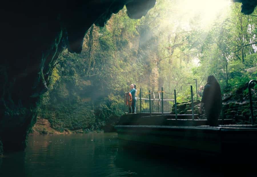 Auckland: Waitomo Caves & Rotorua - Te Puia Small-Group Tour - Crossing Waikato and the King Country