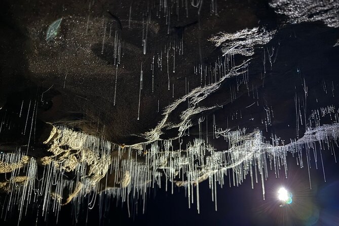 Auckland : Waitomo Spellbound Glow Worm Twin Caves Private Tour - The Auckland to Waitomo journey