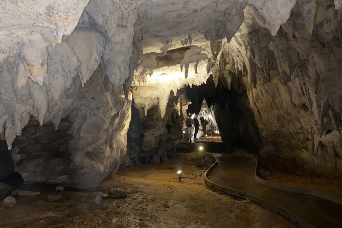Auckland : Waitomo Spellbound Glow Worm Twin Caves Private Tour - Who will enjoy this day most