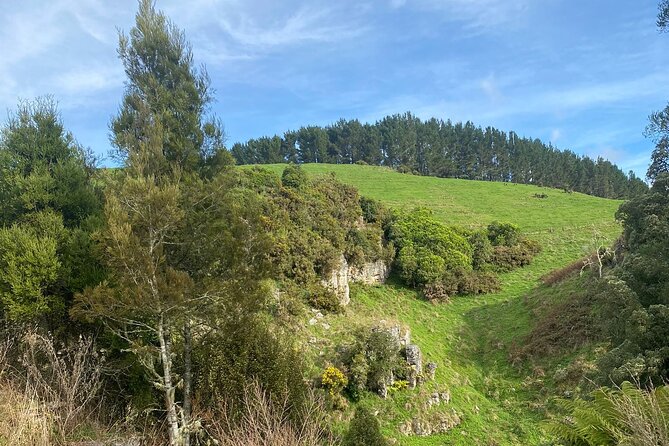 Auckland : Waitomo Spellbound Glow Worm Twin Caves Private Tour - Practical details to know before you book