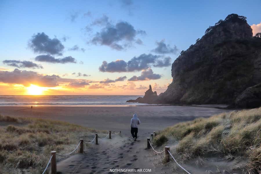 Auckland: West Coast Discovery - Key points at a glance