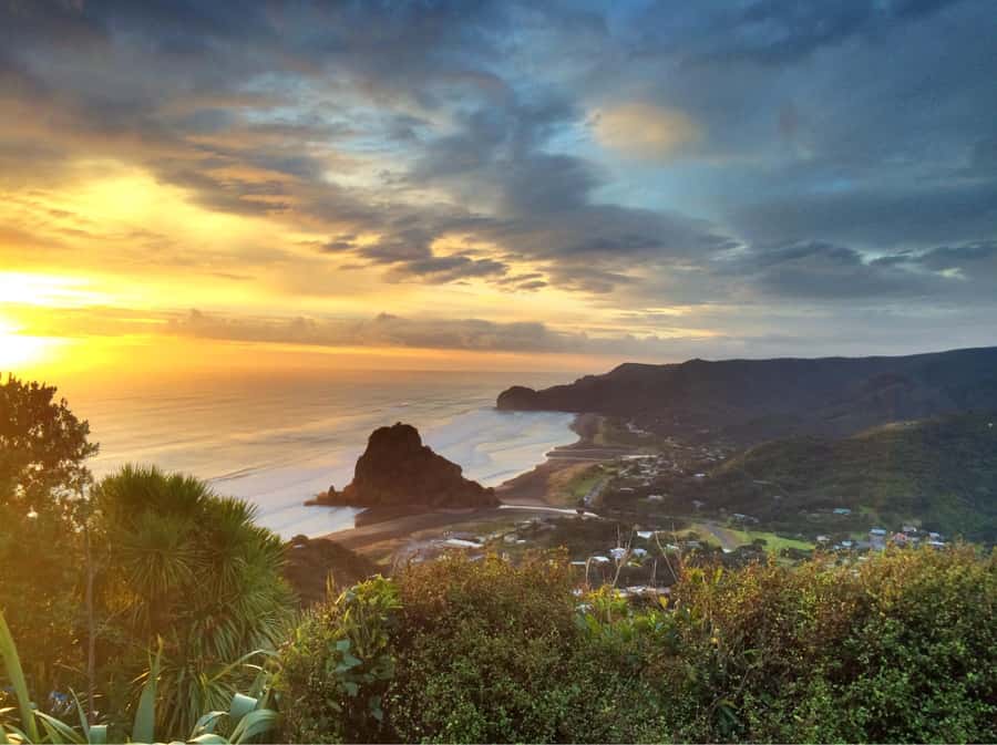 Auckland: West Coast Discovery - Why Piha makes a strong half-day from Auckland