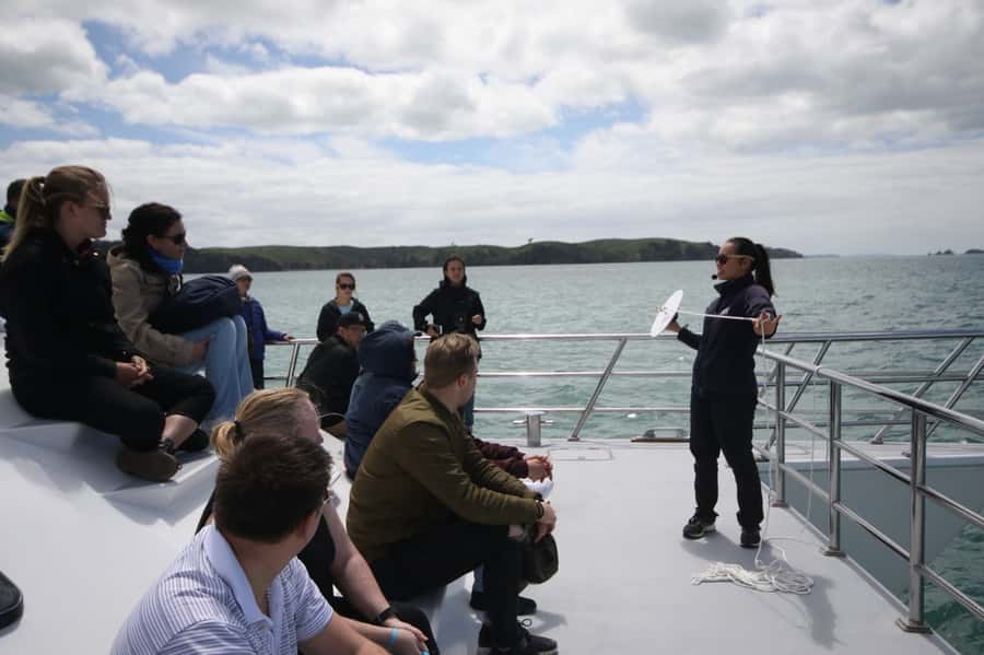 Auckland: Whale and Dolphin Watching Half-Day Eco Cruise - Key points before you book