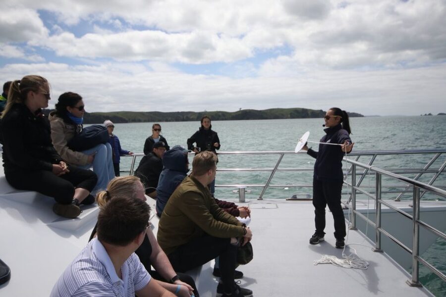 Auckland: Whale and Dolphin Watching Half-Day Eco Cruise - What you might see besides whales
