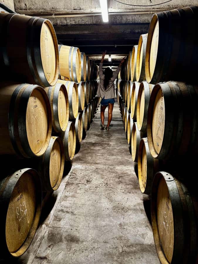 Auckland: Wine region tour with tastings and gourmet lunch - Key points to know before you book