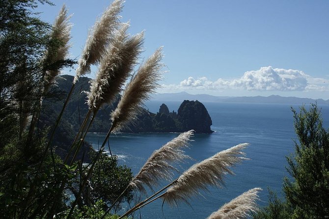 Bay of Islands 2-Day Small Group Tour & Cruise from Auckland - Opononi and Hokianga Harbour