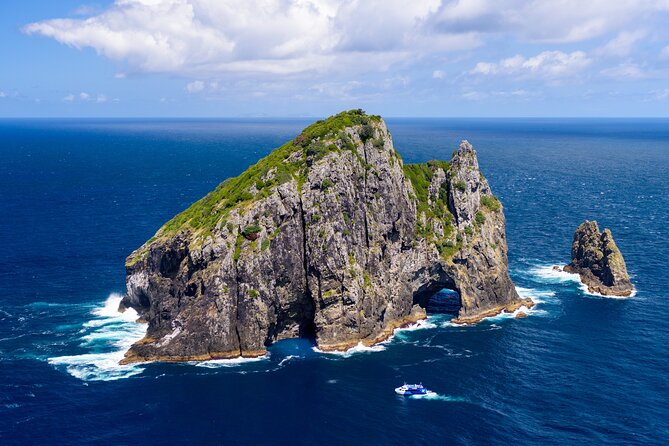 Bay of Islands Discovery Experience from Auckland incl. Hole In The Rock Cruise - Wildlife sightings with sensible expectations