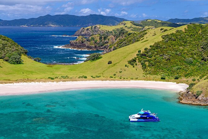 Bay of Islands Discovery Experience from Auckland incl. Hole In The Rock Cruise - What the $650.98 price really covers