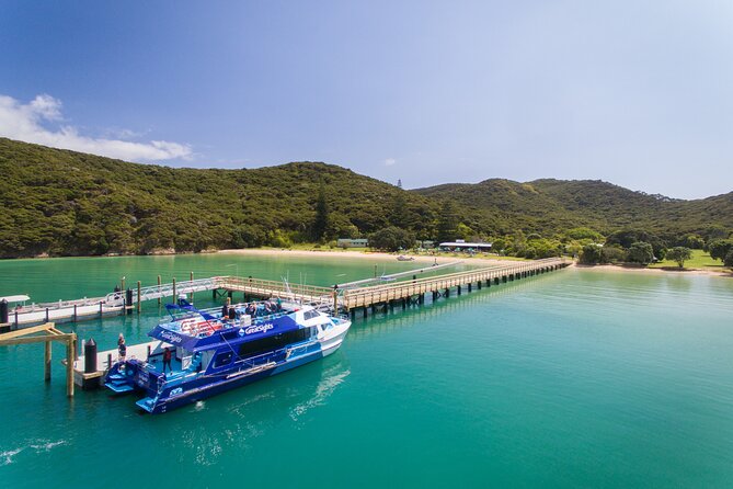 Bay of Islands Explorer Experience Small Group Tour From Auckland - Why the Bay of Islands makes a worthwhile day trip