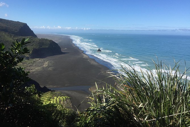 Beautiful Nature Tours Auckland - Private Tour - Auckland’s rugged West Coast in half a day
