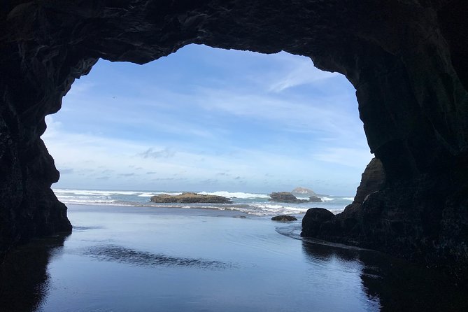 Beautiful Nature Tours Auckland - Private Tour - Muriwai Gannet Colony and the black-sand shore