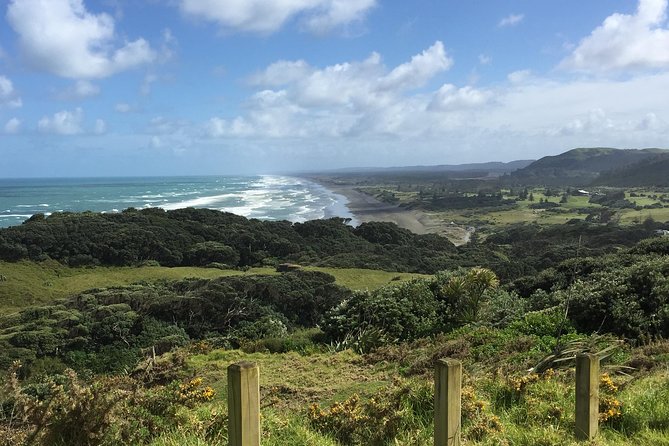 Beautiful Nature Tours Auckland - Private Tour - Ocean views and a simple picnic break