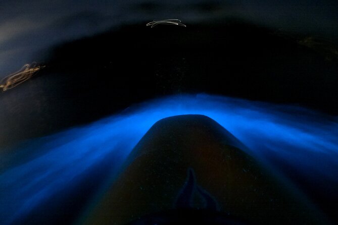 Bioluminescence Kayak Tour - Est. 1994 - Why the Water Glows at Night