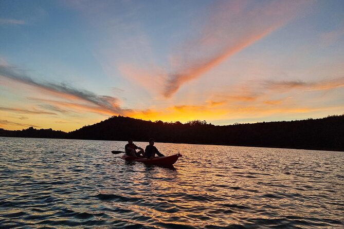 Bioluminescence Kayak Tour - Est. 1994 - Leaving Auckland for Long Bay and Okura