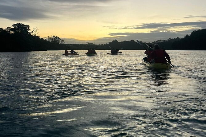 Bioluminescence Kayak Tour - Est. 1994 - What the Guides Add