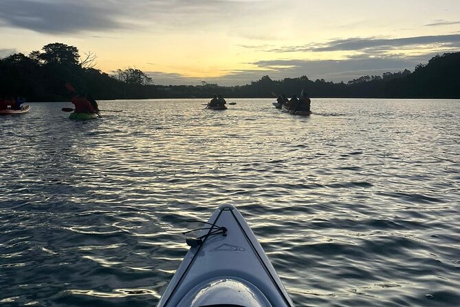 Bioluminescence Kayak Tour - Est. 1994 - How Much Blue Light Should You Expect?