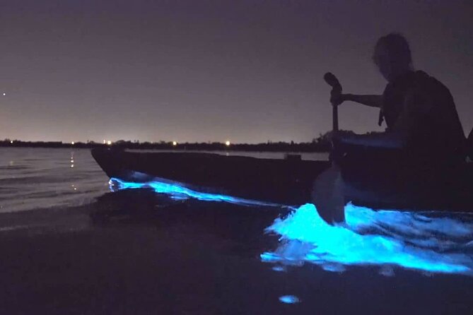 Bioluminescence Kayak Tour - Est. 1994 - Practical Tips for a Better Night