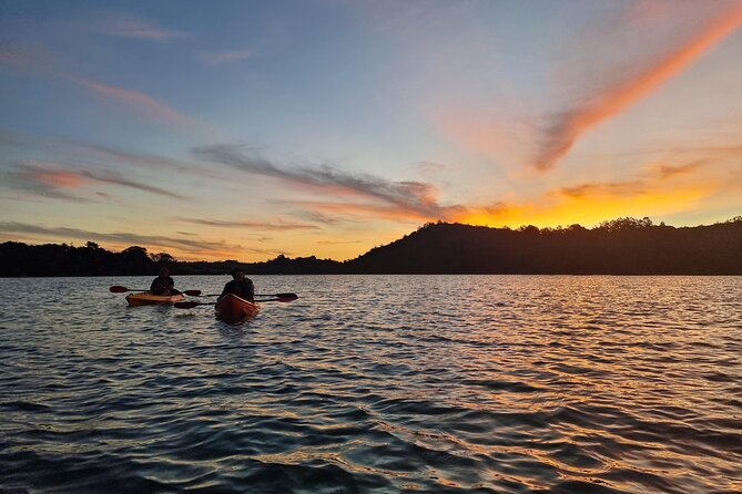 Bioluminescence Kayak Tour - Est. 1994 - The Two-Hour Route, From Dusk to Darkness