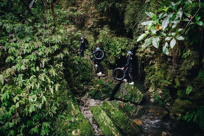 Black Abyss: Ultimate Waitomo Caving - Private Tour from Auckland - Floating beneath the glowworms