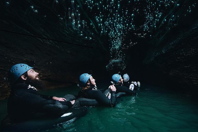 Black Abyss: Ultimate Waitomo Caving - Private Tour from Auckland - Leaving Auckland before the city wakes