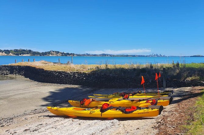Browns Island Motukorea Sea Kayak Tour - The island’s unusual aviation story