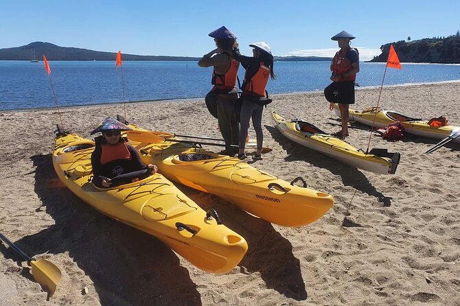 Browns Island Motukorea Sea Kayak Tour - Who will enjoy Browns Island most?