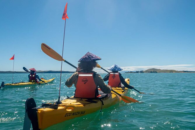 Browns Island Motukorea Sea Kayak Tour - Why Motukorea is worth the effort
