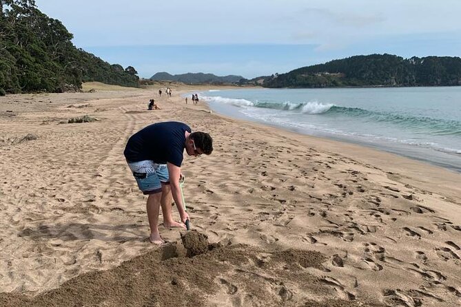 Cathedral Cove and Hot Water Beach Scenic Day Tour from Auckland - Hot Water Beach and the tide clock