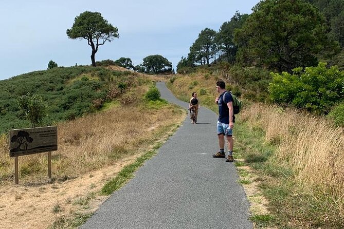 Cathedral Cove and Hot Water Beach Scenic Day Tour from Auckland - What the guides add to the day