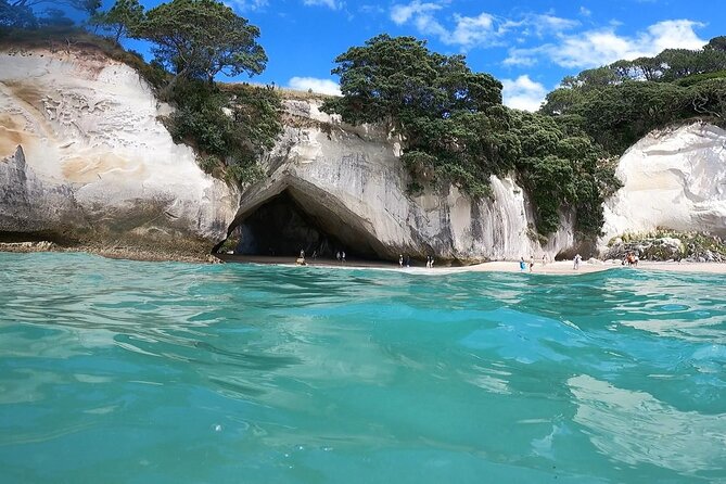 Cathedral Cove & Coromandel, Small-Group Tour from Auckland - First views of the Coromandel Peninsula
