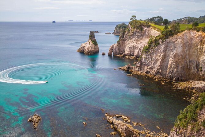 Cathedral Cove & Coromandel, Small-Group Tour from Auckland - Through the Waikato countryside